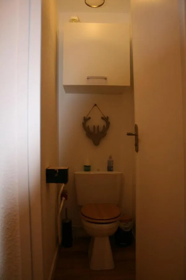 Le Flocon-Studio cabine-Balcon 4-6 Pers à 100m des pistes Chamrousse Appartement