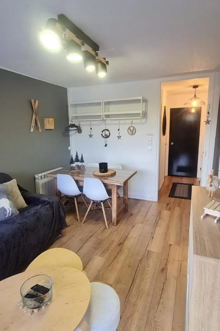 Appartement Le Flocon-Studio cabine-Balcon 4-6 Pers à 100m des pistes Chamrousse